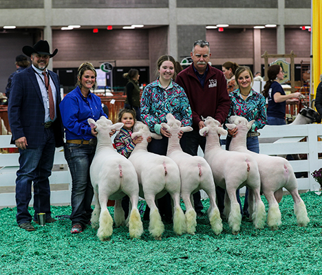 Obsession Showstock